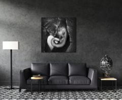 Impresi Obraz Slon černobílý - 70 x 70 cm