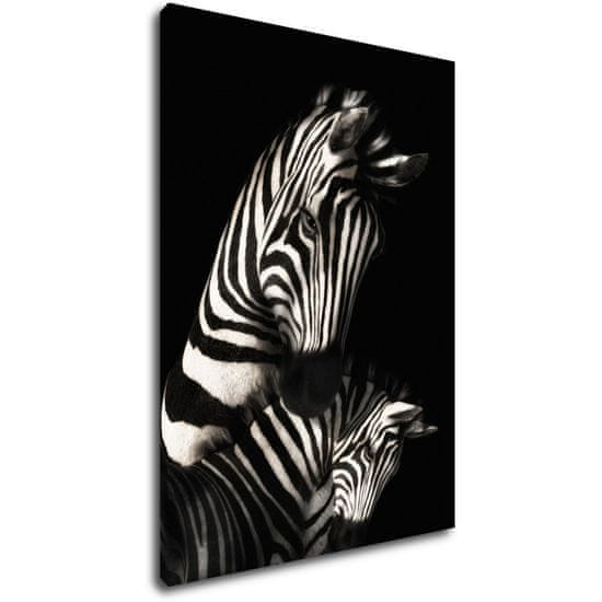 Impresi Obraz Zebry černobílé