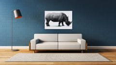 Impresi Obraz Nosorožec na bílém pozadí - 60 x 40 cm
