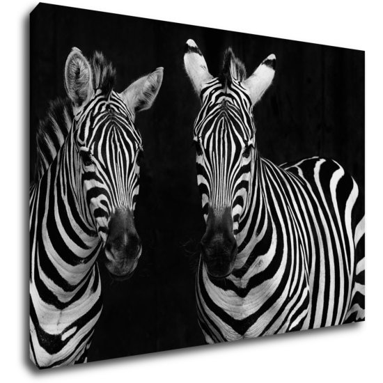 Impresi Obraz Dvě zebry černobílé