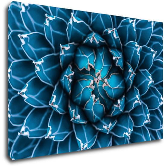 Impresi Obraz Modrý květ