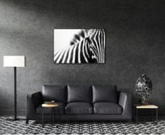 Impresi Obraz Zebra detail - 90 x 60 cm