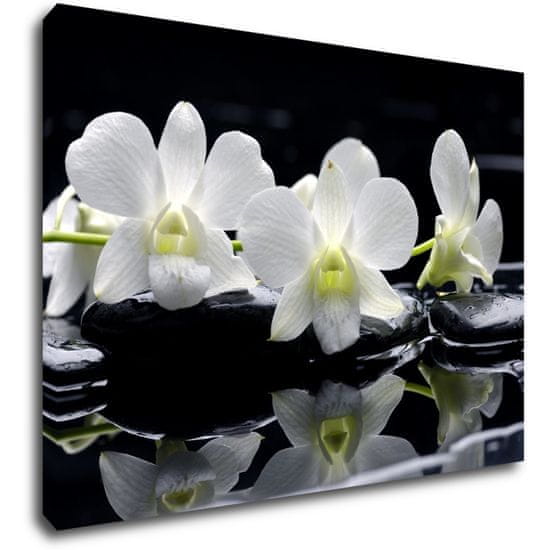 Impresi Obraz Bílé orchidee na černém pozadí
