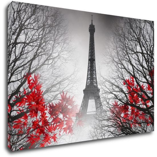 Impresi Obraz Eiffelova věž černobílá s červeným detailem