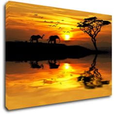 Impresi Obraz Safari západ slunce - 90 x 60 cm