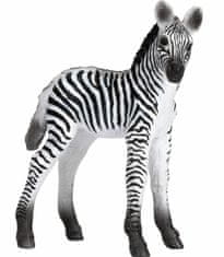 Kraftika Animal planet mojo zebra mládě