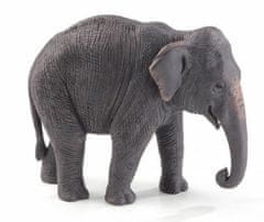 Kraftika Animal planet mojo slon indický