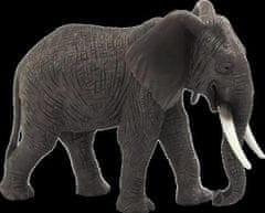 Kraftika Animal planet mojo slon africký