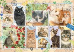 Jumbo  Puzzle Kočičí známky 1000 dílků