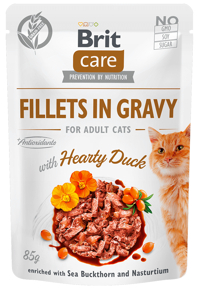 Levně Brit Care Cat Fillets in Gravy with Hearty Duck 24x85 g