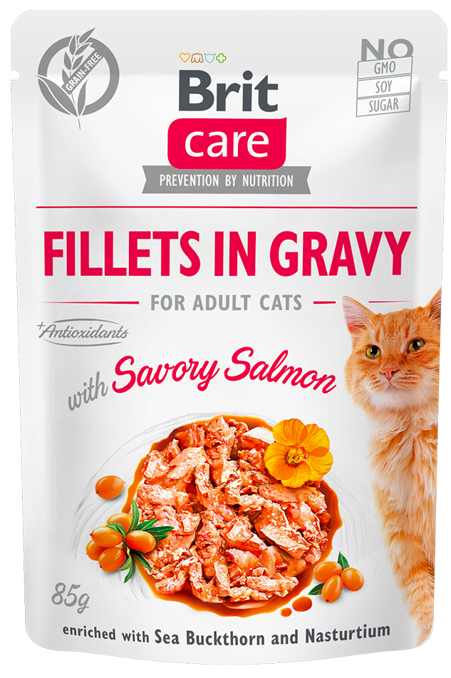 Levně Brit Care Cat Fillets in Gravy with Savory Salmon 24x85 g