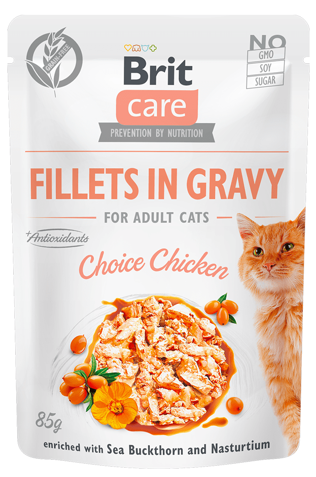 Levně Brit Care Cat Fillets in Gravy Choice Chicken 24x85 g