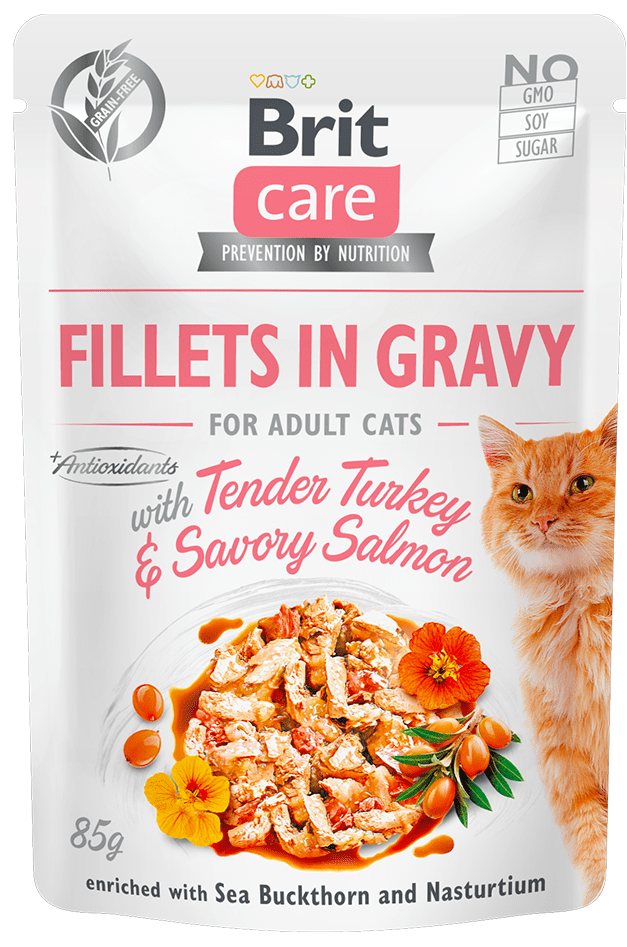 Levně Brit Care Cat Fillets in Gravy with Tender Turkey & Savory Salmon 24x85 g