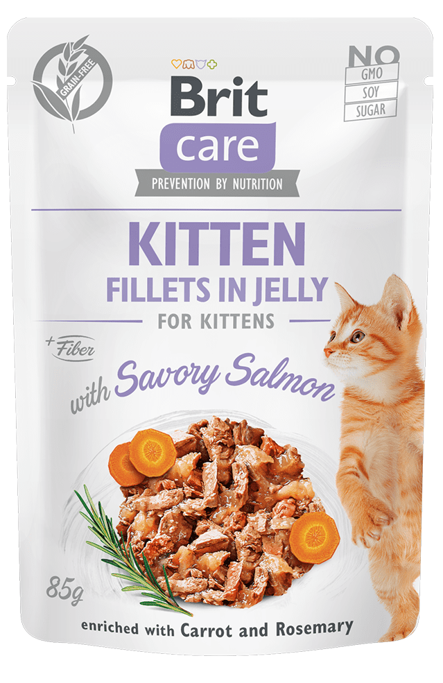 Levně Brit Care Cat Kitten Fillets in Jelly with Savory Salmon 24x85 g