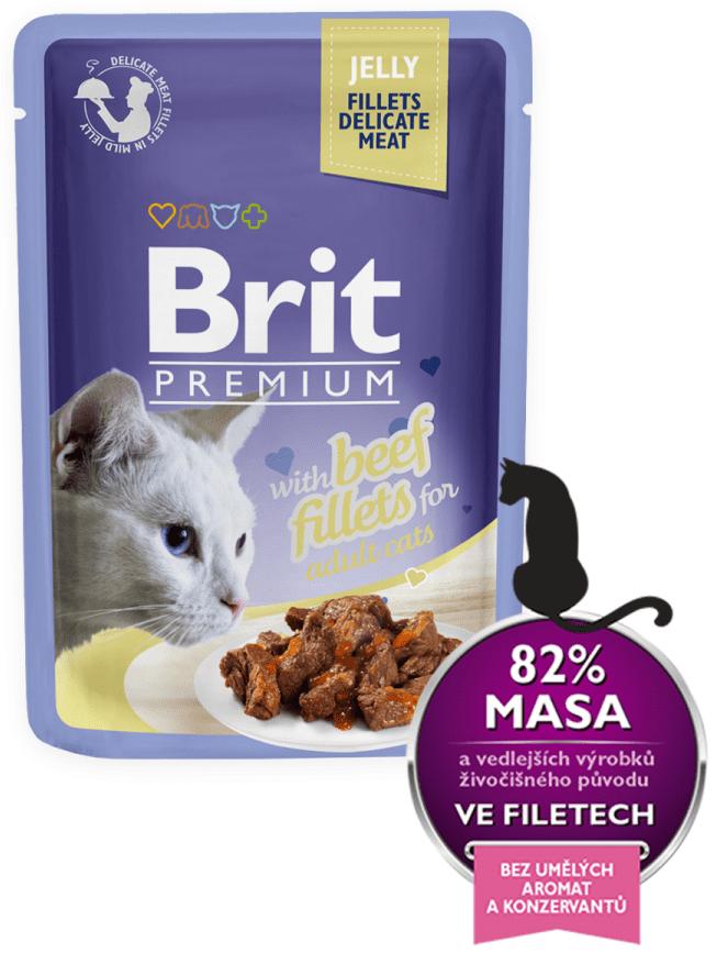 Levně Brit Premium Cat Delicate Fillets in Gravy with Beef 24 X 85 g