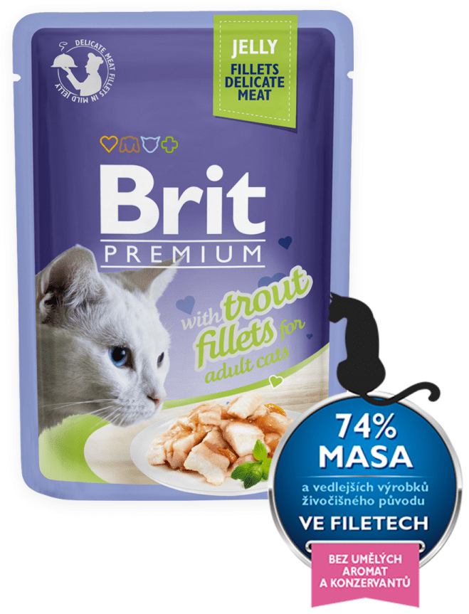 Levně Brit Premium Cat Delicate Fillets in Jelly with Trout 24 x 85 g