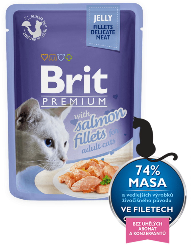 Levně Brit Premium Cat Delicate Fillets in Jelly with Salmon 24 x 85 g