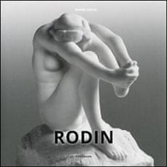 Daniel Kiecol: Rodin