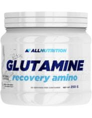 AllNutrition Glutamine Recovery Amino 500 g, pomeranč