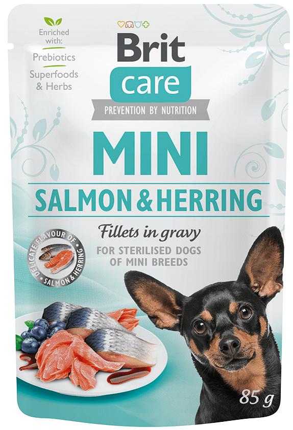 Levně Brit Care Mini Salmon&Herring sterilised fillets in gravy 24x85 g