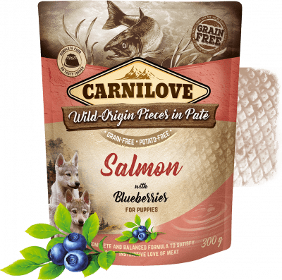 Levně Carnilove Salmon with Blueberries for Puppies 12x300 g