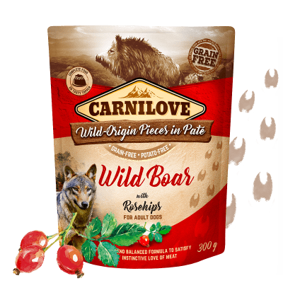 Levně Carnilove Wild Boar with Rosehips 12x300 g