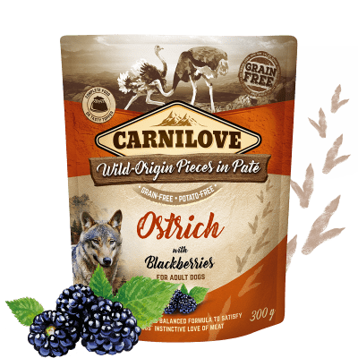 Levně Carnilove Ostrich with Blackberries 12x300 g