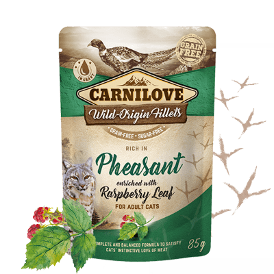 Levně Carnilove Rich in Pheasant Enriched with Raspberry Leaves 24x85 g