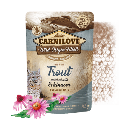 Carnilove Rich in Trout Enriched with Echinacea 24x85 g