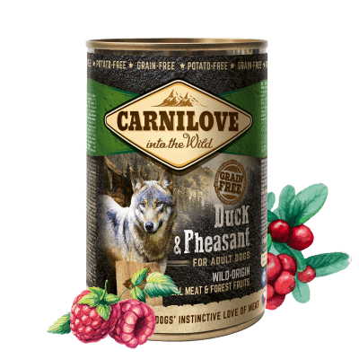 Carnilove Wild Meat Duck & Pheasant 6x 400 g