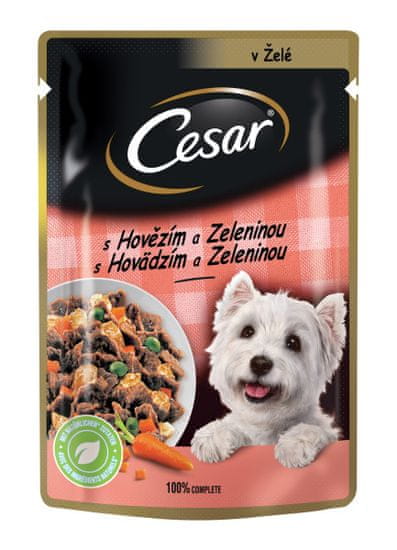 Cesar Kapsička pro dospělé psy s jemným hovězím a mrkví v želé 24x100 g