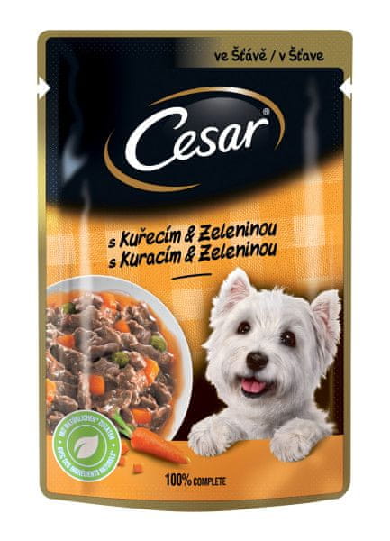 Levně Cesar Kapsička pro dospělé psy s chutným kuřecím a zeleninovým ragů ve šťávě 24x100 g