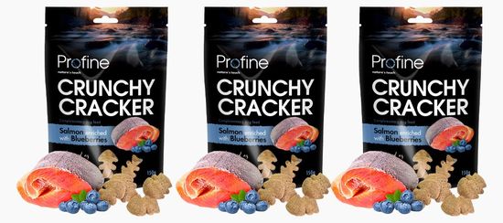 Profine Dog Crunchy Cracker Salmon enriched with Blueberries 3 x 150 g