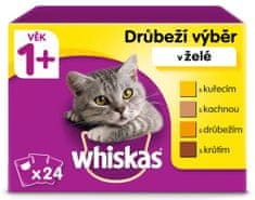Whiskas kapsičky drůbeží výběr v želé pro dospělé kočky 24 x 100g