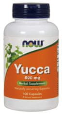 NOW Foods Yucca, 500 mg, 100 kapslí