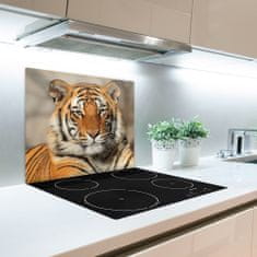 tulup.cz Skleněné deska do kuchyně Bengálský tygr 60x52 cm