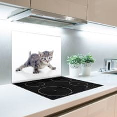 tulup.cz Skleněné deska do kuchyně Malá kočka 2x30x52 cm