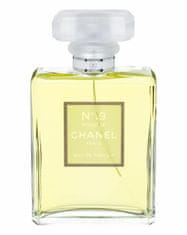 Chanel 100ml no. 19 poudre, parfémovaná voda