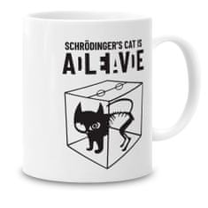 Grooters Hrnek Teorie velkého třesku - Schrödingerova kočka