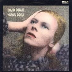 Rhino Hunky Dory - David Bowie LP