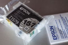 Epson C13T15794010, Light Light Black