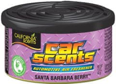 California Scents Car Scents Lesní plody 42 g