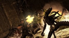 Aliens vs Predator Steam PC - Digital