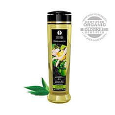 Shunga Organický masážní olej Shunga Erotic Massage Oil ORGANICA Exotic Green Tea 240 ml