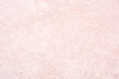 Chemex Koberec Bird Kruh Shaggy Měkký Vysoký Light Růžová 80x80 cm