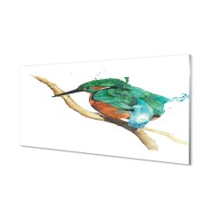 tulup.cz akrylový obraz Barevné malované papoušek 100x50 cm 2 Přívěsky