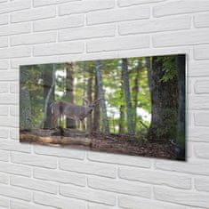 tulup.cz akrylový obraz jelen lesní 100x50 cm 2 Přívěsky