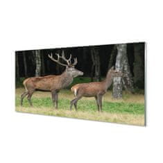 tulup.cz akrylový obraz jelen lesní 120x60 cm 4 Přívěsky