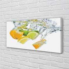 tulup.cz Obrazy na plátně voda citrus 100x50 cm