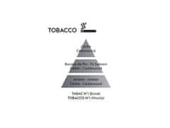 Maison Berger Paris Náhradní náplň do difuzéru do auta Antiodour tabák Tobacco (Car Diffuser Recharge/Refill) 2 ks